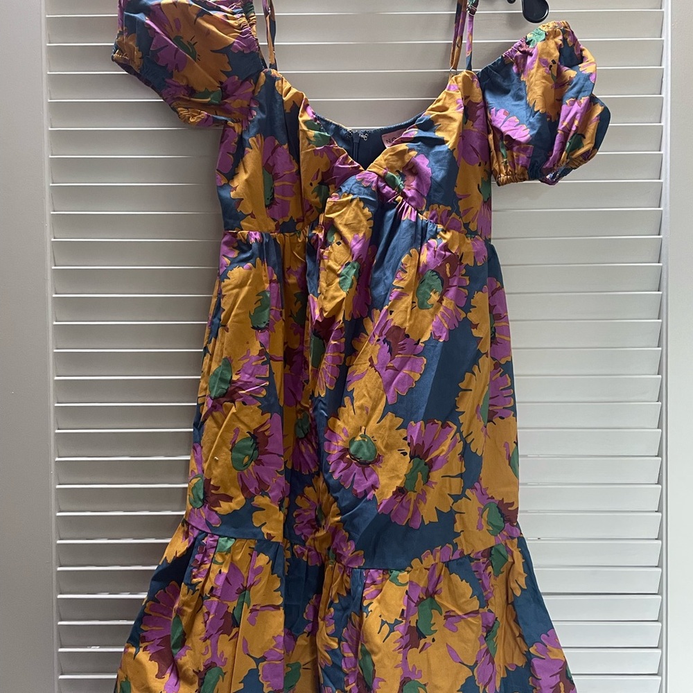 NWT Madam Butterfly Dress